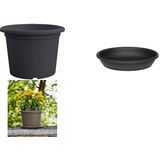 tera pot de fleurs "Basic round", diam.: 150 mm, anthracite