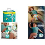 Pampers couche baby-dry, taille 6+ extra Large, maxi Pack