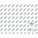 CANSON papier  dessin "Acrylic", 650 x 1.000 mm, 400 g/m2