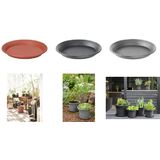 orthex soucoupe BOTANICA, diamtre : 260 mm, gris