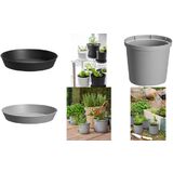 orthex soucoupe CULTIVATE, diamtre: 120 mm, gris