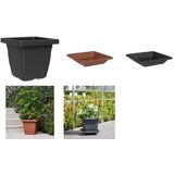 tera soucoupe "Nazca", largeur: 220 mm, anthracite