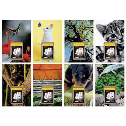 LECAS Calendrier phmride mural NATURE, bloc comique, 2026