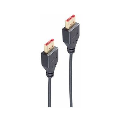 shiverpeaks BASIC-S Cble DisplayPort 1.4, slim, 1,0 m, noir