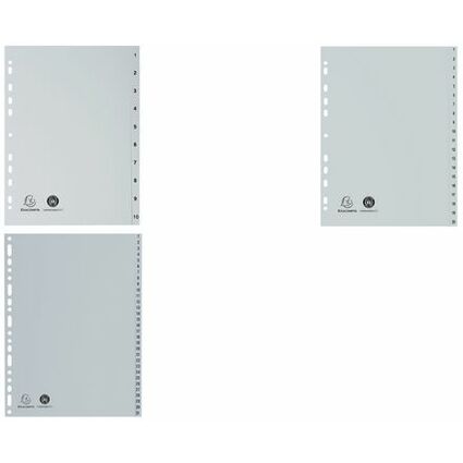 EXACOMPTA Intercalaire numrique en plastique, A4, gris