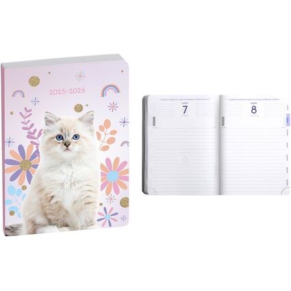 Clairefontaine Agenda scolaire FORUM, 2025/2026, Chat blanc