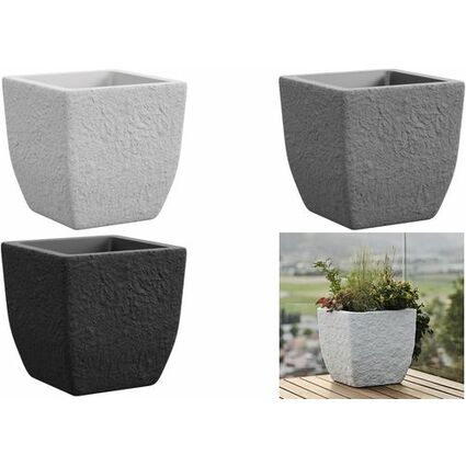 tera Cube  plantes "Lithos 40", stone grey