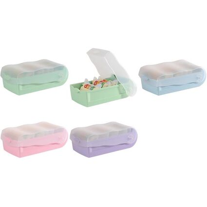 HAN Bote  fiches CROCO, A8, rose pastel/translucide