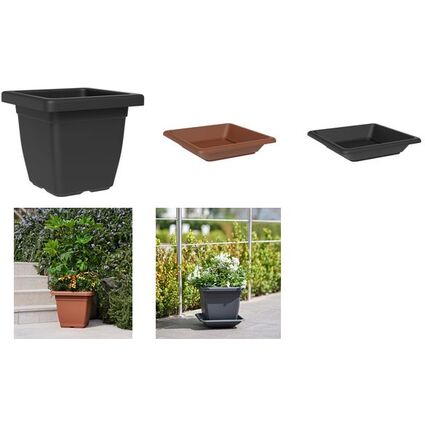 tera Soucoupe "Nazca", largeur: 320 mm, anthracite