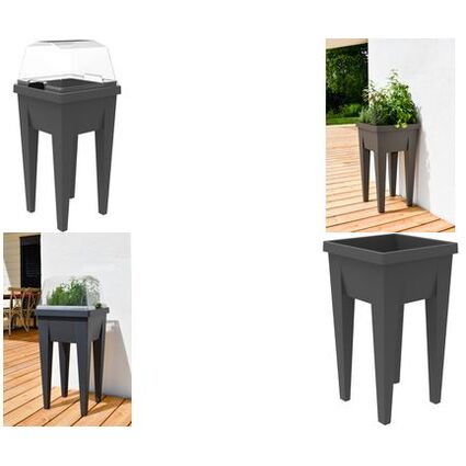 EDA Couvercle pour mini-jardinière "VEG&Table", transparent