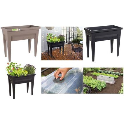 EDA Jardinire "VEG&Table" City, taupe