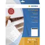 HERMA pochettes pour ngatifs, pour 10 x 4 ngatifs, clair