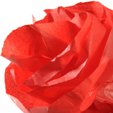 CANSON papier de soie, 0,5 x 5,0 m, 20 g/m2, rouge vif