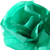 CANSON papier de soie, 0,5 x 5,0 m, 20 g/m2, vert fougre