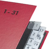 PAGNA trieur Color, format A4, 1 - 31, 31 compartiments