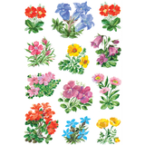 HERMA autocollants DECOR "Fleurs de montagne"