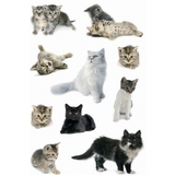 HERMA autocollants DECOR "Photos de chats"