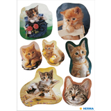 HERMA autocollants DECOR "Chatons photogniques"