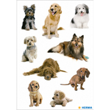 HERMA autocollants DECOR "Photos de chiens"