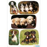 HERMA autocollants DECOR "Photos de chiots"