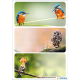 HERMA tiquette pour livre "Oiseaux"