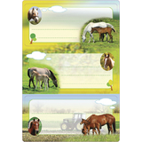 HERMA tiquette pour livre "Chevaux", 76 x 35 mm