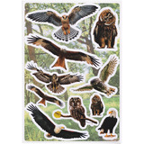 HERMA sticker DECOR Rapaces