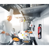 REINOLD max Spray extincteur "STOP FIRE", contenu: 750 g
