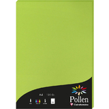 Pollen by Clairefontaine papier A4, vert menthe