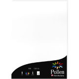 Pollen by Clairefontaine papier A4, blanc