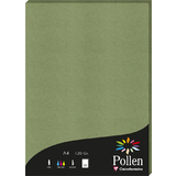 Pollen by Clairefontaine papier A4, vert sauge