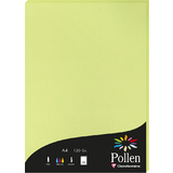 Pollen by Clairefontaine papier A4, vert bourgeon