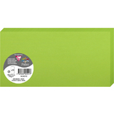 Pollen by Clairefontaine carte double DL, vert menthe