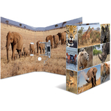 HERMA classeur  levier "Animals", A4, animaux d'Afrique