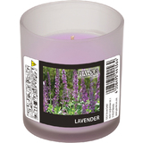 FLAVOUR by Gala bougie parfume, "Lavender"