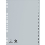 EXACOMPTA intercalaire numrique en plastique, A4, gris