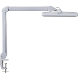 MAUL lampe de bureau  led MAULintro, dimmable, pince, blanc