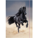 folia pochette de rangement  dessins BASIC "Black Horse",A3