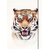 folia pochette de rangement  dessins BASIC "Roaring Tiger"
