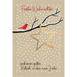 SUSY card Weihnachtskarte "Xmas bird"