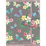 herlitz chemise  rabats Ladylike "Butterflies", A4, film PP