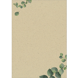 sigel papier design, papier "Eucalyptus", A4, 100 g/m2