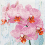 PAPSTAR serviette  motif "Phalaenopsis", 330 x 330 mm