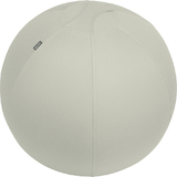 LEITZ ballon d'assise ergo Active, diamtre: 650 mm, gris
