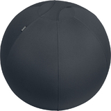 LEITZ ballon d'assise ergo Active, diamtre: 650 mm, gris