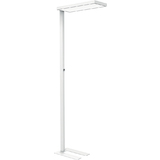 MAUL lampadaire  led MAULstudy, variateur, blanc