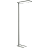 MAUL lampadaire  led MAULstudy, variateur, argent