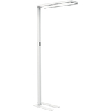 MAUL lampadaire  led MAULsenja, variateur, blanc