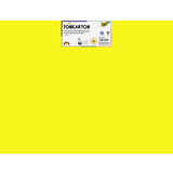 folia carton de couleur, (L)500 x (H)700 mm, assorti