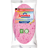 Spontex ponge ColorMix, pack de 3